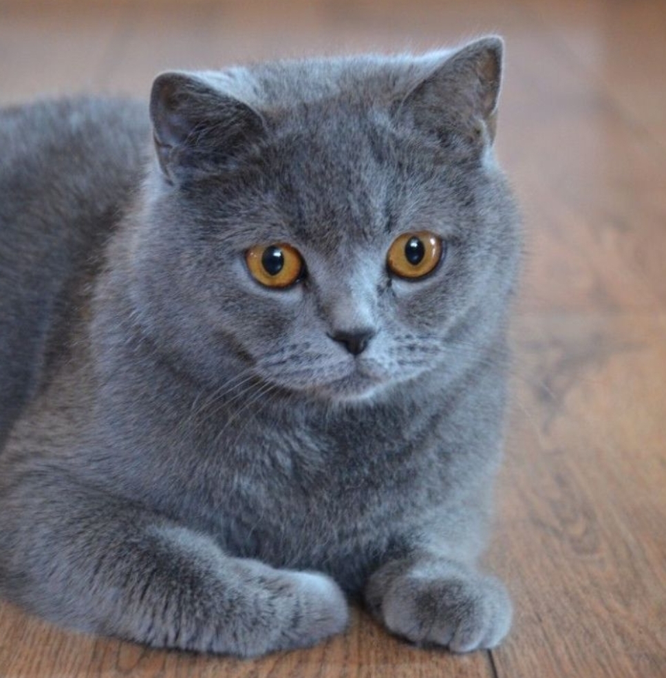 Cần sang nhượng công ty sản xuất mỹ phẩm