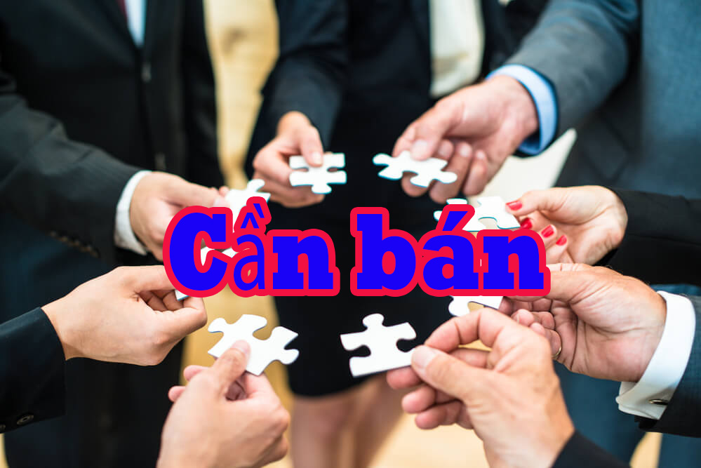 Cần bán CTY MTV tại Cần Thơ