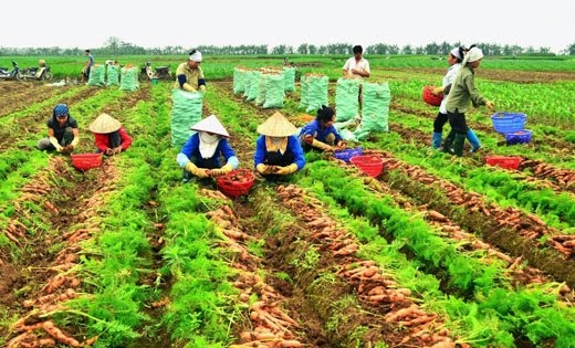 CHUYỂN NHƯỢNG CÔNG TY TNHH 1 THÀNH VIÊN – HÀ NỘI (THÀNH LẬP 2017)